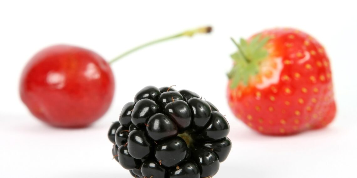 my wife and kidscast