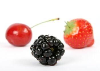 my wife and kidscast