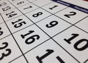 how many days are in a year